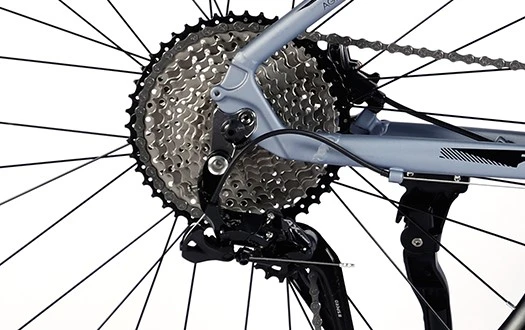 cassette freewheel cassette freewheel