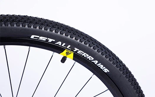 CST mountain bike tire CST mountain bike tire