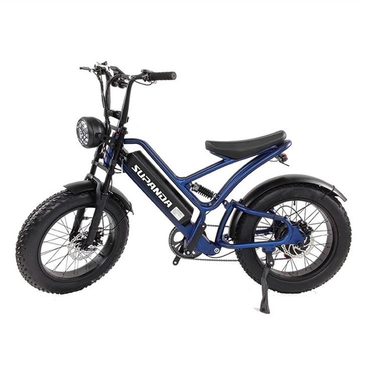 Fat Tire Electric Bike (5)