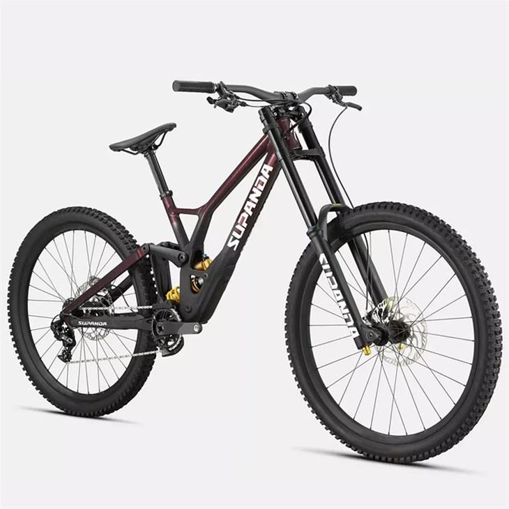 women's downhill mountain bike1