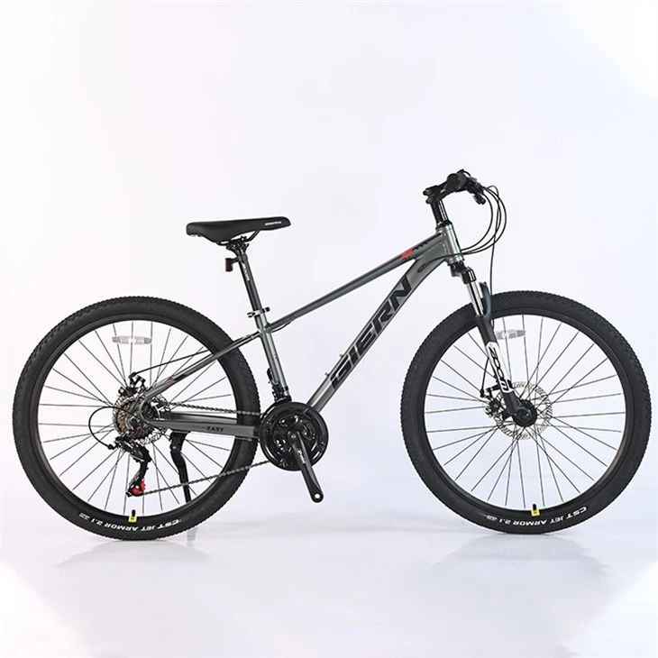 Downcountry Hardtail Mtb