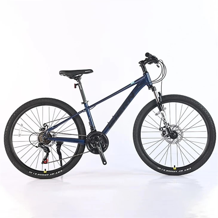 Downcountry Hardtail Mtb