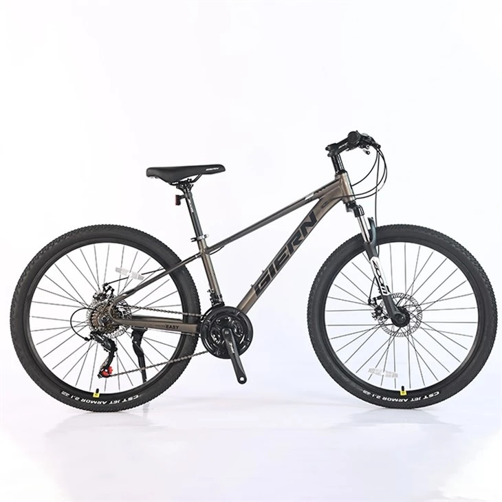 Downcountry Hardtail Mtb