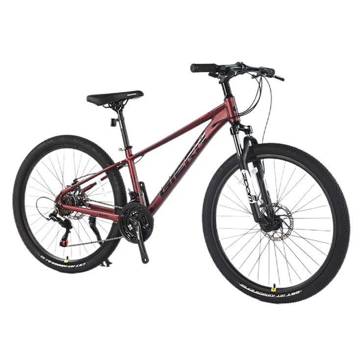 Downcountry Hardtail MTB
