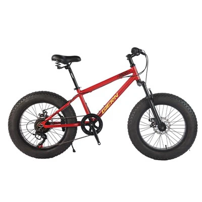 20  Grès  Tire  Mòn  Bike