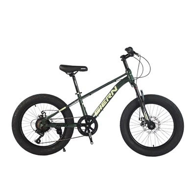20 Pous Youth Mountain Bike