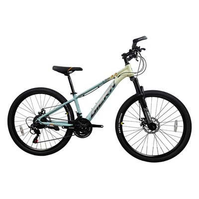 24 pous Mountain Bikes Founisè