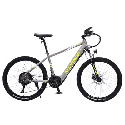 29 Pous E Mountain Bike