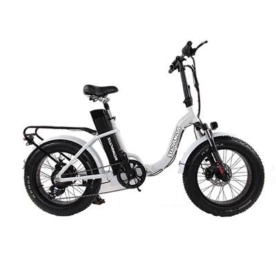 Pliye Mountain bisiklèt elektrik
