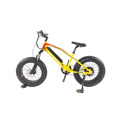 Xs elektrik Mountain Bike