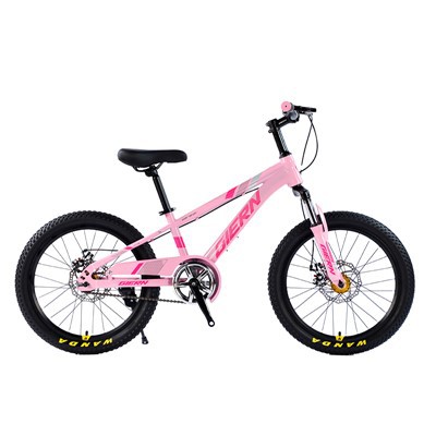 Woz Hardtail Mountain Bike